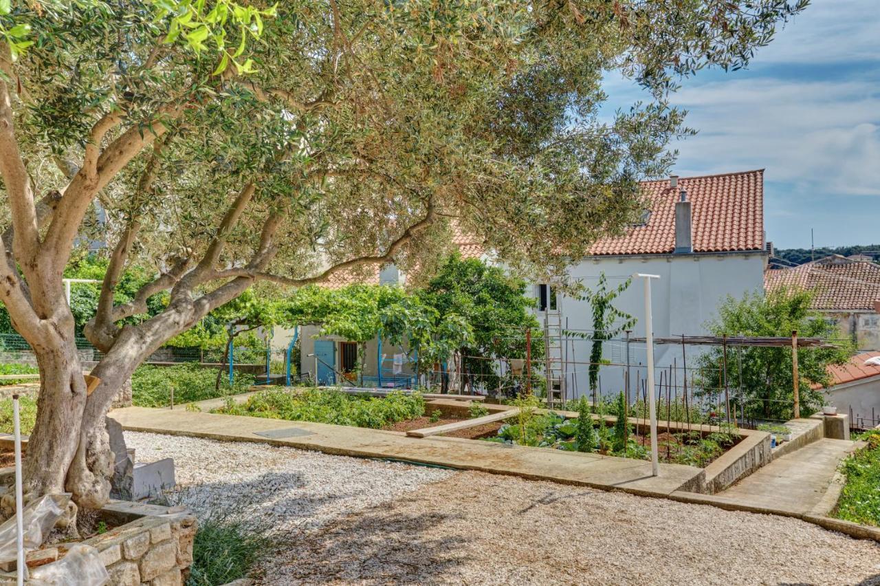 Apartment Dami Mali Losinj Exterior photo